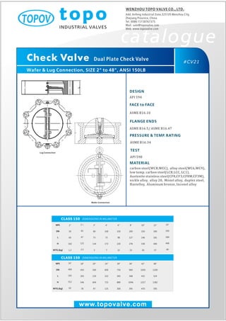Dual plate check valve topo valve