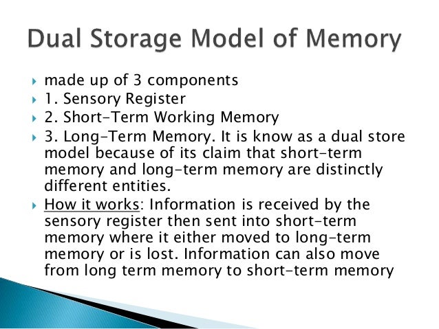 Dual storage model of memory