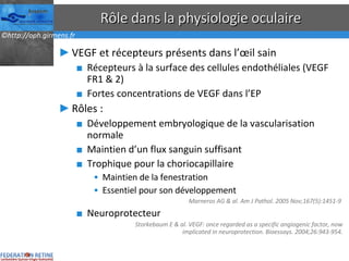 Rôle dans la physiologie oculaire VEGF et récepteurs présents dans l’œil sain Récepteurs à la surface des cellules endothéliales (VEGF FR1 & 2) Fortes concentrations de VEGF dans l’EP Rôles : Développement embryologique de la vascularisation normale Maintien d’un flux sanguin suffisant Trophique pour la choriocapillaire Maintien de la fenestration Essentiel pour son développement Marneros AG & al .  Am J Pathol. 2005 Nov;167(5):1451-9  Neuroprotecteur Storkebaum E & al. VEGF: once regarded as a specific angiogenic factor, now implicated in neuroprotection. Bioessays. 2004;26:943-954. 