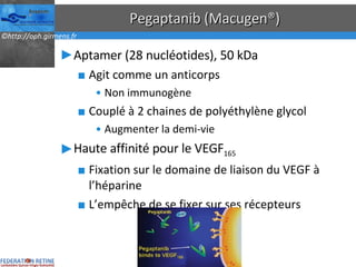 Pegaptanib (Macugen®) Aptamer (28 nucléotides), 50 kDa Agit comme un anticorps Non immunogène Couplé à 2 chaines de polyéthylène glycol Augmenter la demi-vie Haute affinité pour le VEGF 165 Fixation sur le domaine de liaison du VEGF à l’héparine L’empêche de se fixer sur ses récepteurs 