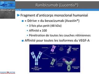 Ranibizumab (Lucentis®) Fragment d’anticorps monoclonal humanisé « Dérive » du bevacizumab (Avastin®) 3 fois plus petit (48 kDa) Affinité x 100 Pénétration de toutes les couches rétiniennes Affinité pour toutes les isoformes du VEGF-A 