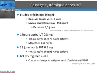 Passage systémique après IVT Etudes préclinique (singe) Demi-vie dans le vitré : 3 jours Niveau plasmatique max : 150 ng/ml Demi-vie 3,5 jours Geaudrault J & al. Invest Ophthalmol Vis Sci 2005;46:726-33 1 heure après IVT 0.3 mg < 0.300 ng/ml chez 73 % des patients Moyenne : 1.01 ng/ml 28 jours après IVT 0.3 mg < 0.300 ng/ml chez 96 % des patients IVT 0.5 mg mensuelle Concentrations plasmatique < seuil d’activité anti-VEGF Haughney PC & al. ARVO 2005 