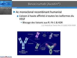 Bevacizumab (Avastin®) Ac monoclonal recombinant humanisé Liaison à haute affinité à toutes les isoformes du VEGF Blocage des liaisons aux R. Flt-1 & KDR L.G. Presta & al. Cancer Res 57 (1997) 4593–4599 