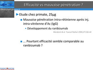 Efficacité vs mauvaise pénétration ? Etude chez primate, 25µg Mauvaise pénétration intra-rétinienne après inj. intra-vitréenne d’Ac (IgG) Développement du ranibizumab Mordenti & al. Toxicol Pathol 1999;27:536-44 ... Pourtant efficacité semble comparable au ranibizumab ? 