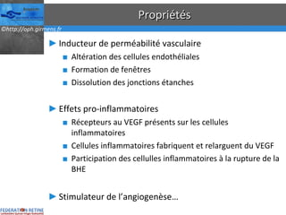 Propriétés Inducteur de perméabilité vasculaire Altération des cellules endothéliales Formation de fenêtres Dissolution des jonctions étanches Effets pro-inflammatoires Récepteurs au VEGF présents sur les cellules inflammatoires Cellules inflammatoires fabriquent et relarguent du VEGF Participation des cellulles inflammatoires à la rupture de la BHE Stimulateur de l’angiogenèse… 