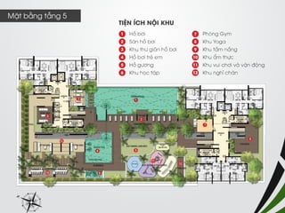 Mặt bằng tầng 5  