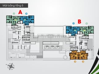 Mặt bằng tầng 5 
A 
B  