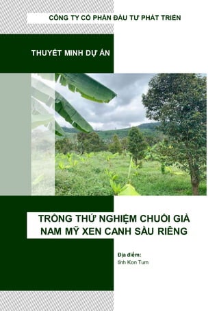 THUYẾT MINH DỰ ÁN
TRỒNG THỬ NGHIỆM CHUỐI GIÀ
NAM MỸ XEN CANH SẦU RIÊNG
CÔNG TY CỔ PHẦN ĐẦU TƯ PHÁT TRIỂN
Địa điểm:
tỉnh Kon Tum
 