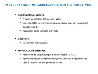 PERTURBATIONS METABOLIQUES INDUITES PAR LE VHC
• OBSERVATIONS CLINIQUES:
• Prévalence stéatose 40% patients VHC+
• Infection VHC: facteur indépendant de risque pour développement
diabète type 2.
• Régression après thérapie antivirale
• QUESTION:
• Mécanismes moléculaires?
• APPROCHE EXPÉRIMENTALE
• Recherche de ces pathologies dans le modèle FL-N/35
• Recherche des perturbations de signalisations intra-hépatocytaire
liées à l’expression des protéines virales.
 