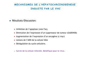  Résultats/Discussion:
 Inhibition de l’apoptose (voie Fas).
 Diminution de l’expression d’un suppresseur de tumeur (GADD45β)
 Augmentation de l’expression d’un oncogène (c-myc)
 Lésions de l’ADN de la cellule hôte
 Dérégulation du cycle cellulaire.
 Survie de la cellule infectée. Bénéfique pour le virus.
MECANISMES DE L’HEPATOCARCINOGENESE
INDUITE PAR LE VHC
 
