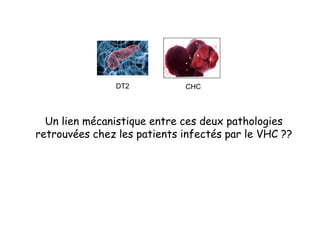 Un lien mécanistique entre ces deux pathologies
retrouvées chez les patients infectés par le VHC ??
CHCDT2
 