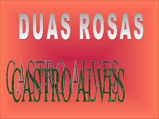 DUAS ROSAS CASTRO ALVES 