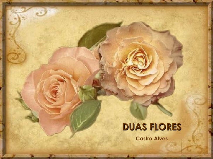 Duas Flores Castro Alves