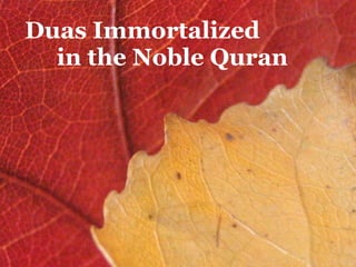 Duas Immortalized           in the Noble Quran 
