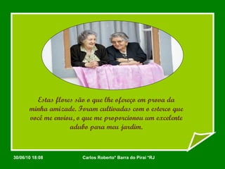 Estas flores são o que lhe ofereço em prova da minha amizade. Foram cultivadas com o esterco que você me enviou, o que me proporcionou um excelente adubo para meu jardim. 