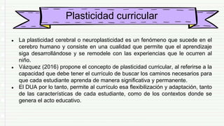 Plasticidad curricular
● La plasticidad cerebral o neuroplasticidad es un fenómeno que sucede en el
cerebro humano y consiste en una cualidad que permite que el aprendizaje
siga desarrollándose y se remodele con las experiencias que le ocurren al
niño.
● Vázquez (2016) propone el concepto de plasticidad curricular, al referirse a la
capacidad que debe tener el currículo de buscar los caminos necesarios para
que cada estudiante aprenda de manera significativa y permanente.
● El DUA por lo tanto, permite al currículo esa flexibilización y adaptación, tanto
de las características de cada estudiante, como de los contextos donde se
genera el acto educativo.
 
