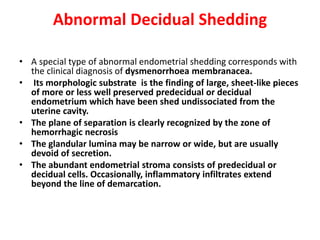 Abnormal Decidual Shedding
• A special type of abnormal endometrial shedding corresponds with
the clinical diagnosis of dysmenorrhoea membranacea.
• Its morphologic substrate is the finding of large, sheet-like pieces
of more or less well preserved predecidual or decidual
endometrium which have been shed undissociated from the
uterine cavity.
• The plane of separation is clearly recognized by the zone of
hemorrhagic necrosis
• The glandular lumina may be narrow or wide, but are usually
devoid of secretion.
• The abundant endometrial stroma consists of predecidual or
decidual cells. Occasionally, inflammatory infiltrates extend
beyond the line of demarcation.
 