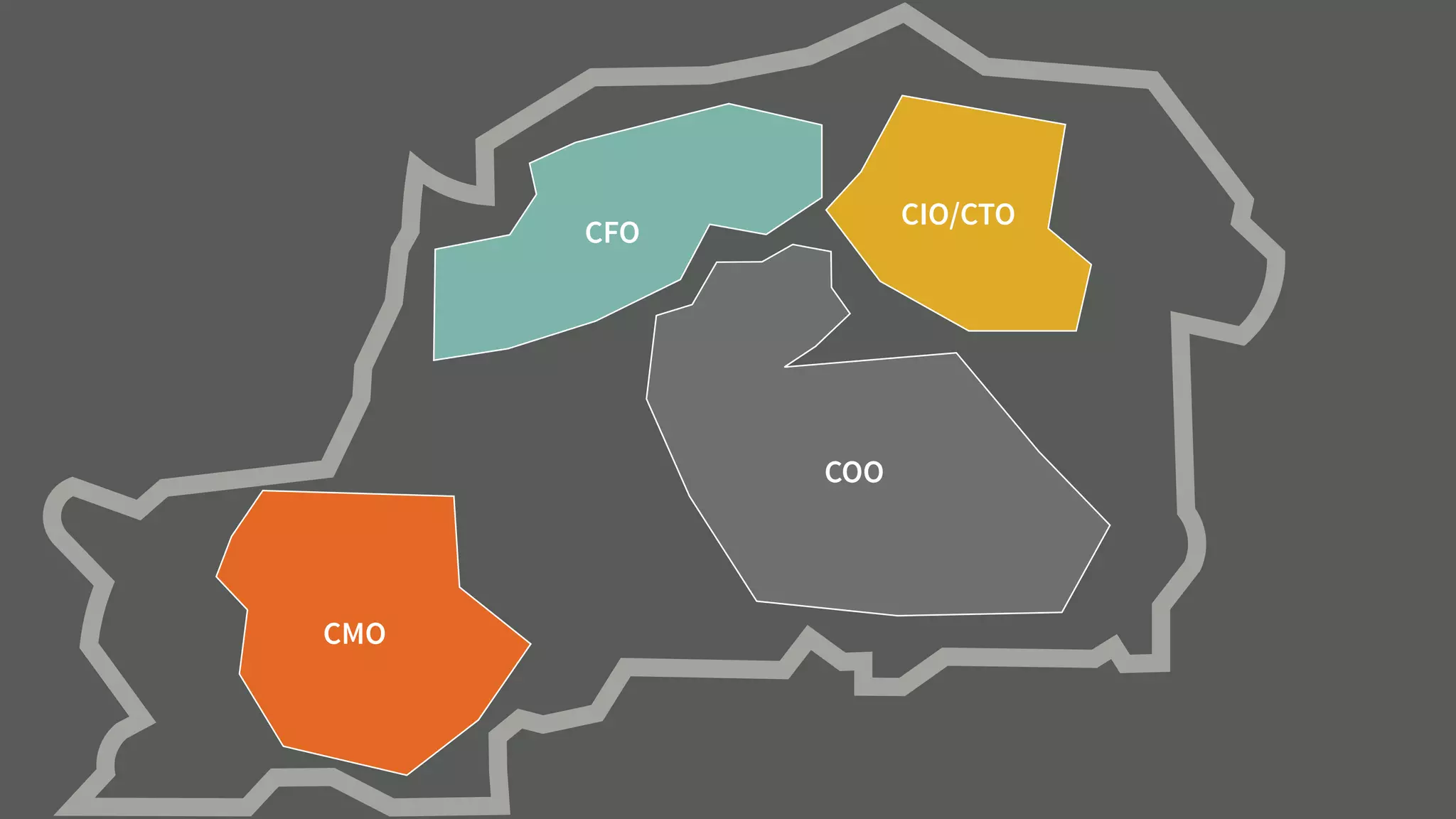 CFO
CIO/CTO
COO
CMO
 