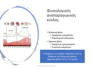 Φυσιολογικός
αναπαραγωγικός
κύκλος
• Θυλακική φάση
• Παράγεται οιστραδιόλη
• Παραγωγικό ενδομήτριο
• Ωχρινική φάση
• Παράγεται προγεστερόνη
• Εκκριτικό ενδομήτριο
Η διάρκεια του κύκλου εξαρτάται από τη
διάρκεια της θυλακικής φάσης
Ωχρινική φάση=14 (+/-1) ημέρες
30ο Παγκρήτιο Παιδιατρικό Συνέδριο
 