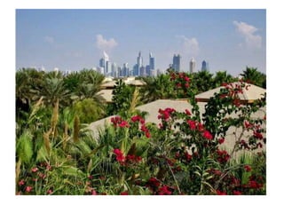 PROYECTO GABRIELA CALDERON