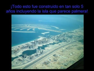 ¡Todo esto fue construido en tan solo 5 años incluyendo la isla que parece palmera! 