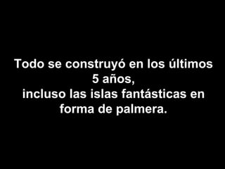 Todo se construyó en los últimos 5 años, incluso las islas fantásticas en forma de palmera. 