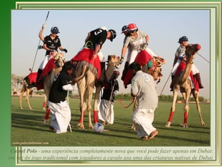 Camel Polo  -  uma experiência completamente nova que você pode fazer apenas em Dubai: em vez do jogo tradicional com jogadores a cavalo usa uma das criaturas nativas de Dubai.  