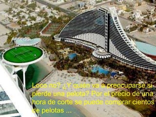Loco no? ¿Y quién va a preocuparse si
pierde una pelota? Por el precio de una
hora de corte se puede comprar cientos
de pelotas ...
 