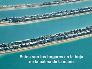Estos son los hogares en la hoja
    de la palma de la mano
 