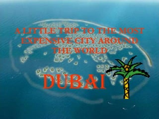 A LITTLE TRIP TO THE MOST EXPENSIVE CITY AROUND THE WORLD DUBAI 
