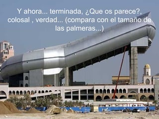 Y ahora... terminada, ¿Que os parece?, colosal , verdad... (compara con el tamaño de las palmeras...) 