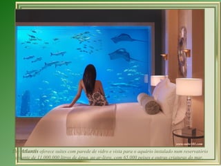 The Atlantis oferece suítes com parede de vidro e vista para o aquário instalado num reservatório
 gigante de 11.000.000 litros de água, ao ar-livre, com 65.000 peixes e outras criaturas do mar.
 