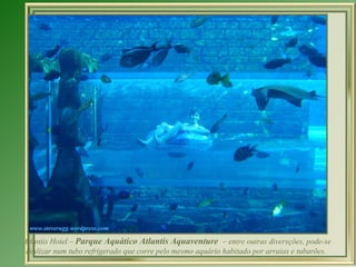 Atlantis Hotel – Parque Aquático Atlantis Aquaventure – entre outras diversções, pode-se
 deslizar num tubo refrigerado que corre pelo mesmo aquário habitado por arraias e tubarões.
 