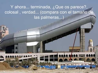 Y ahora... terminada, ¿Que os parece?, colosal , verdad... (compara con el tamaño de las palmeras...) 