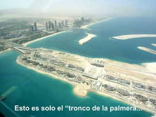 Esto es solo el “tronco de la palmera...   