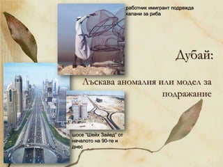 Дубай:
Лъскава аномалия или модел за
подражание
работник имигрант подрежда
капани за риба
шосе “Шейх Зайед” от
началото на 90-те и
днес
 