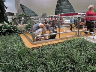 Dubai airport at night