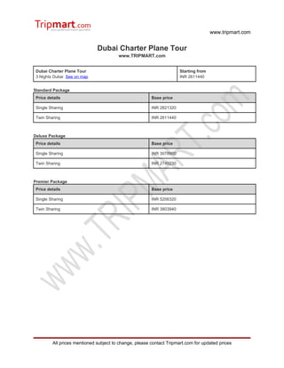 Dubai Charter plane tour