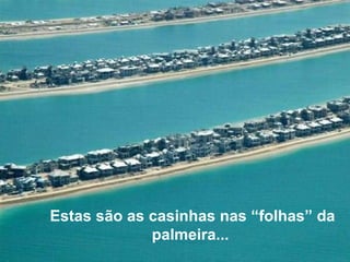 Estas são as casinhas nas “folhas” da palmeira...   