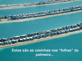 Estas são as casinhas nas “folhas” da palmeira...   