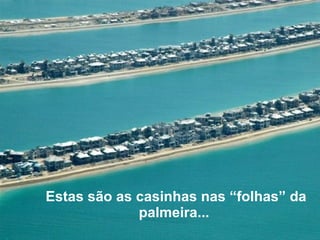 Estas são as casinhas nas “folhas” da palmeira...   