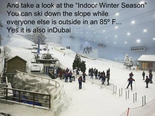 And take a look at the “Indoor Winter Season”
You can ski down the slope while
everyone else is outside in an 85º F...
Yes it is also inDubai
 