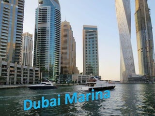 Dubai Marina  