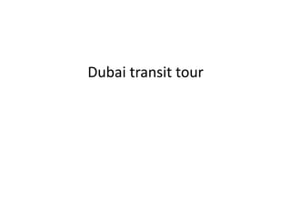 Dubai transit tour
 