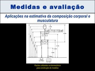 Medidas e avaliação Aplicações na estimativa da composição corporal e musculatura Razões utilizadas na biomecânica para construção de modelos 