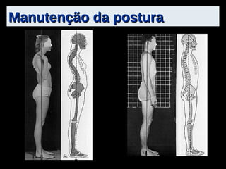Manutenção da postura 
