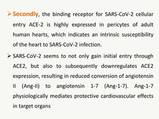 Secondly, the binding receptor for SARS-CoV-2 cellular
entry ACE-2 is highly expressed in pericytes of adult
human hearts, which indicates an intrinsic susceptibility
of the heart to SARS-CoV-2 infection.
 SARS-CoV-2 seems to not only gain initial entry through
ACE2, but also to subsequently downregulates ACE2
expression, resulting in reduced conversion of angiotensin
II (Ang-II) to angiotensin 1-7 (Ang-1-7). Ang-1-7
physiologically mediates protective cardiovascular effects
in target organs
 