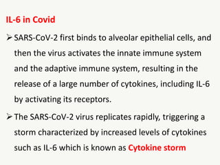 IL-6 in Covid
SARS-CoV-2 first binds to alveolar epithelial cells, and
then the virus activates the innate immune system
and the adaptive immune system, resulting in the
release of a large number of cytokines, including IL-6
by activating its receptors.
The SARS-CoV-2 virus replicates rapidly, triggering a
storm characterized by increased levels of cytokines
such as IL-6 which is known as Cytokine storm
 