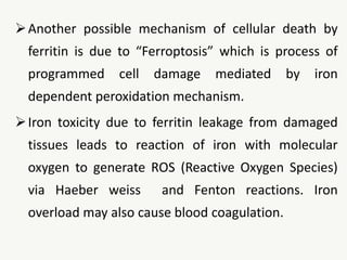 Another possible mechanism of cellular death by
ferritin is due to “Ferroptosis” which is process of
programmed cell damage mediated by iron
dependent peroxidation mechanism.
Iron toxicity due to ferritin leakage from damaged
tissues leads to reaction of iron with molecular
oxygen to generate ROS (Reactive Oxygen Species)
via Haeber weiss and Fenton reactions. Iron
overload may also cause blood coagulation.
 
