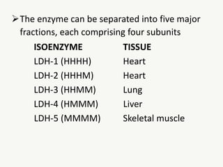 The enzyme can be separated into five major
fractions, each comprising four subunits
ISOENZYME TISSUE
LDH-1 (HHHH) Heart
LDH-2 (HHHM) Heart
LDH-3 (HHMM) Lung
LDH-4 (HMMM) Liver
LDH-5 (MMMM) Skeletal muscle
 